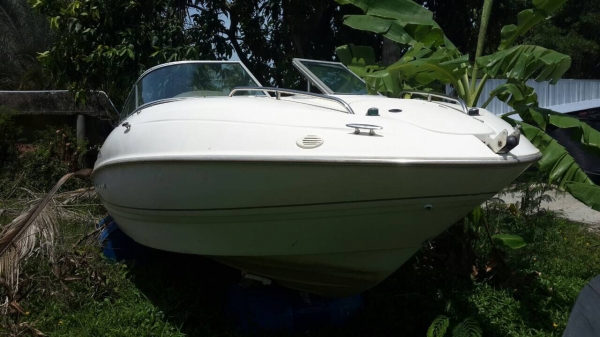 ขายด่วน เรือเร็ว 19 ฟุต ขายด่วน เรือเร็ว 19 ฟุต