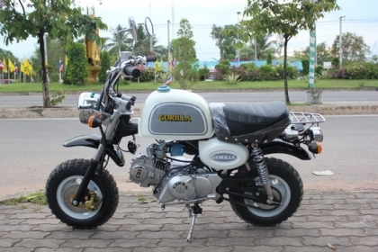 มังกี้และกอลิล่านำเข้า รถใหม่ๆ เครื่องแรงๆ 110ccเป็นรถจีนคับ