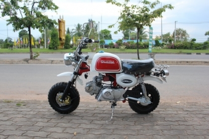 มังกี้และกอลิล่านำเข้า รถใหม่ๆ เครื่องแรงๆ 110ccเป็นรถจีนคับ