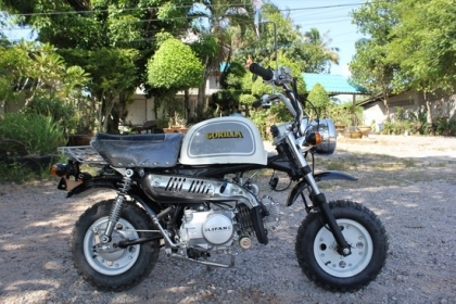 มังกี้และกอลิล่านำเข้า รถใหม่ๆ เครื่องแรงๆ 110ccเป็นรถจีนคับ