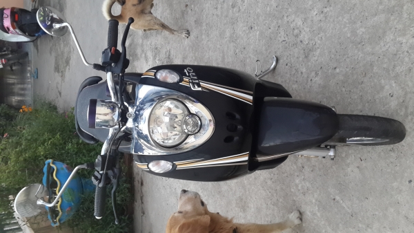 ขาย Fino เกย์แยกแท้ ปี 55