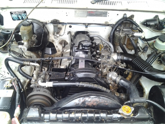 ไมตี้เอ็กปี94