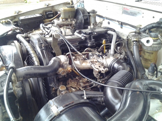 ไมตี้เอ็กปี94