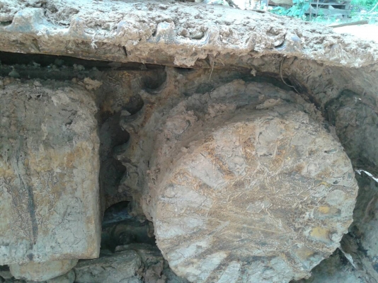 ขาย10ล้อ2เพลาคู่แบ็คโค200-5 โคมัสสุ ไฟฟ้าเต็ม เอกสารเล่มทะเบียน สภาพพร้อมทำงาน เทรลอร์หลงฟูโซ่ เบรคใหญ่ 10สปีดเกียร์ฟลูเลอร์ ขึ้น200 เหล็กไอดรีมสอดทะลุ เอกสารพร้อมโอน