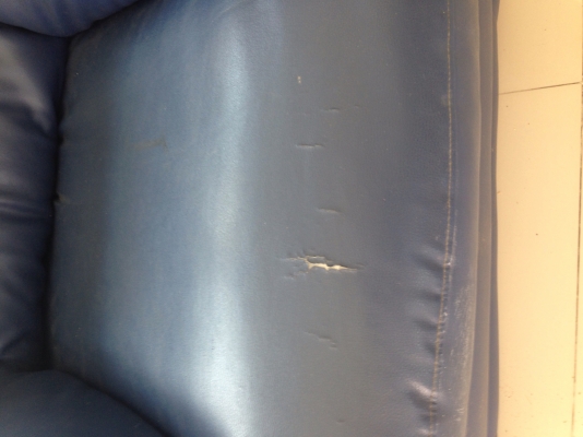 โซฟาหนานุ่มใหญ่โตแบ่งขาย ต้องปิดอัพมาขนนะใหญ่มาก โซฟาหนานุ่มใหญ่โตแบ่งขาย ต้องปิดอัพมาขนนะใหญ่มาก