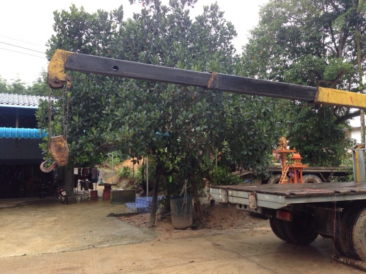 ขาย 6 ล้อหน้ายาว TXD50 ติดเครนยูนิค 3 ตัน 5 เหลี่ยมท้องวี สภาพเดิมๆ เครื่องแน่น คัทซีสวย เครนดี สนใจติดต่อได้ที่ 081-9420141