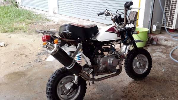 ขาย ลิงน้อย มั้งกี้ 50cc.ระหัสZ50J สภาพสวยรถญี่ปุ่นแท้ๆท่อแต่งเครื่องดีคับ