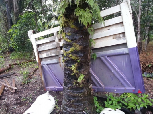 รถอีซูซุ 10 ล้อดั้ม FXZ 270 แรงม้า. ปี 51 ( ขายแม่ , ลูก ) สนใจติดต่อ 081 - 6079515 รถอีซูซุ 10 ล้อดั้ม FXZ 270 แรงม้า. ปี 51 ( ขายแม่ , ลูก ) สนใจติดต่อ 081 - 6079515