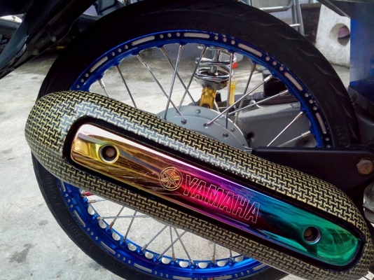 มีโอสองตาถูก