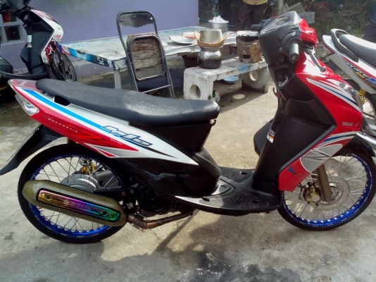 มีโอสองตาถูก