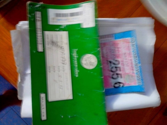 มีโอสองตาถูก