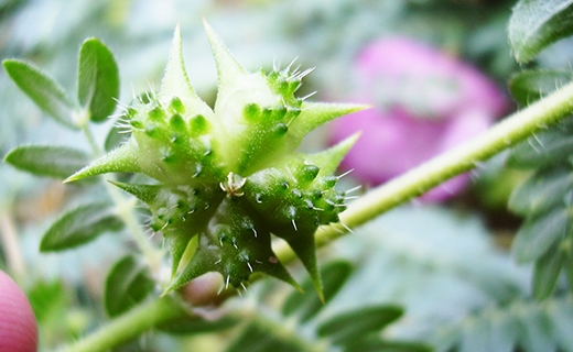 มีปัญหาน้องชายเล็ก นกเขาไม่ขัน มาอาการหลั่งเร็ว ทำให้หลายๆคนขาดความมั่นใจ ซึ่งปัญหาเหล่านี้จะหมดไปทันที เมื่อท่านใช้ผลิตภัณฑ์ สมุนไพร เทอร์โบแม็กซ์ (Turbo max)  ด้วยการตอบรับที่ดีเยี่ยมด้วยยอดขายที่เพิ่มขึ้นอย่างรวดเร็ว และการซื้อซ้ำอย่างต่อเนื่อง ลูกค้าห