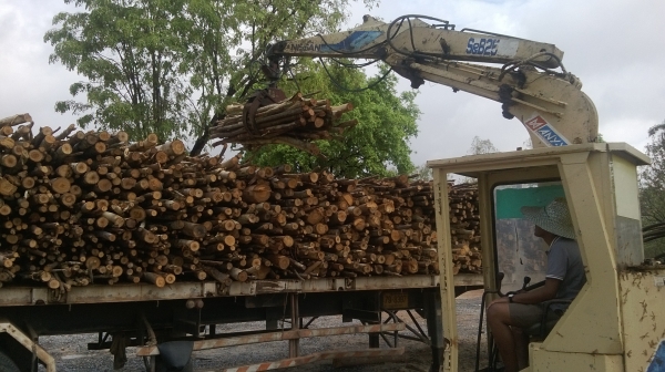 ขายแบคโฮเทียบเท่า pc 60