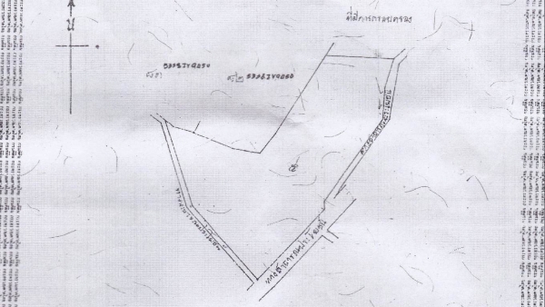 ขายที่ดินสร้างบริษัท 29-1-80 ไร่ ราคา 380,000 บาทต่อไร่ บ้านโพธิ์สามต้น อ.สีคิ้ว