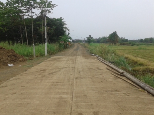 ขายด่วน ที่ดินมีโฉนด  8 ไร่ 2 งาน ไร่ล่ะ 300000 บาท โทร 0846937668 ทรัพย์