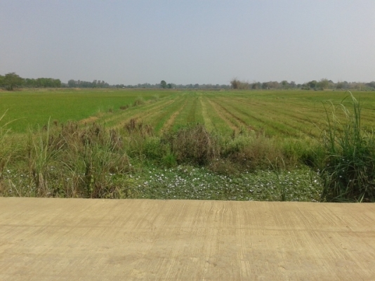 ขายด่วน ที่ดินมีโฉนด 8 ไร่ 2 งาน ไร่ล่ะ 300000 บาท โทร 0846937668 ทรัพย์ ขายด่วน ที่ดินมีโฉนด 8 ไร่ 2 งาน ไร่ล่ะ 300000 บาท โทร 0846937668 ทรัพย์