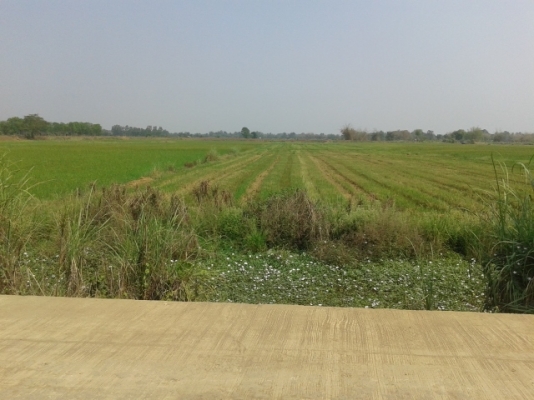 ขายด่วน ที่ดินมีโฉนด 8 ไร่ 2 งาน ไร่ล่ะ 300000 บาท โทร 0846937668 ทรัพย์ ขายด่วน ที่ดินมีโฉนด 8 ไร่ 2 งาน ไร่ล่ะ 300000 บาท โทร 0846937668 ทรัพย์