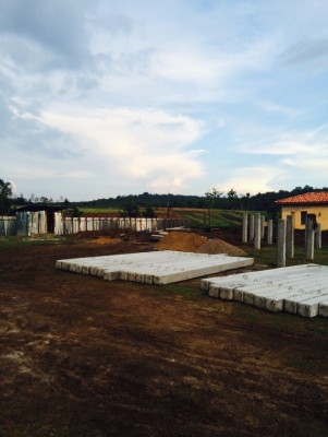 รับตอกเสาเข็ม รับตอกเสาเข็ม