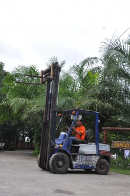 ขายFORKLIFT KOMATSU FD25-11 2.5ตันครึ่ง ดีเซล สภาพสวยเดิมจากญี่ปุ่นยังไม่เคยใช้ในไทย190,000เท่านั้น!!