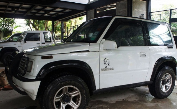 ขาย วีทาร่า 3d