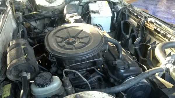 ขายถูกๆ รถเก๋ง nissan บลูเบิร์ด 1.8 GL สตาร์ททีเดียวติด ตัวแรง8หัว ใช้งานได้เลย แอร์เย็น เครื่องดี พวงมาลัยเพาเวอร์ ติดแก็ส LPG แล้ว ใช้งานเยี่ยม ขายถูกๆ รถเก๋ง nissan บลูเบิร์ด 1.8 GL สตาร์ททีเดียวติด ตัวแรง8หัว ใช้งานได้เลย แอร์เย็น เครื่องดี พวงมาลัยเพาเวอร์ ติดแก็ส LPG แล้ว ใช้งานเยี่ยม