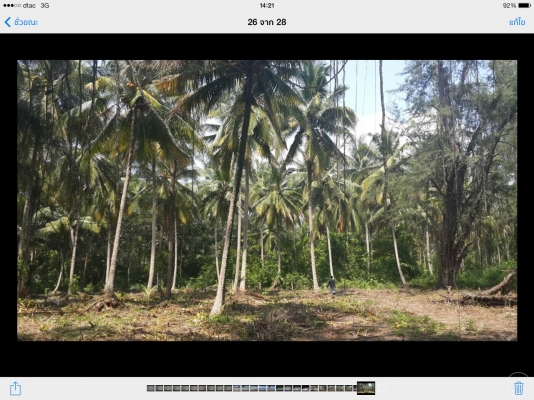 ขายที่ดิน ติดทะเล