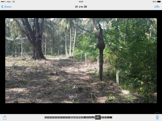 ขายที่ดิน ติดทะเล