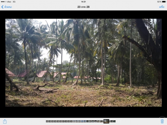 ขายที่ดิน ติดทะเล