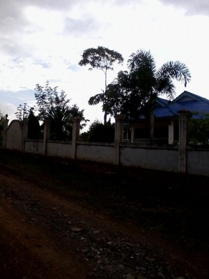 ขายบ้านพร้อมที่ดินบนเนินเขาสวยอากาศดี ที่3งาน53ตรวา อยู่ที่ปากช่อง หมู่บ้านโปร่งวัวัแดง