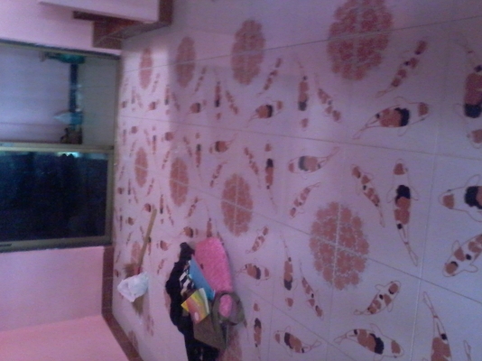 จองแล้วค่ะ คุณ จีระพร (บ้านพร้อมอยู่)บ้าน2ชั้น 3 ห้องนอน2ห้องน้ำ บ้านสวยตกแต่งพร้อมเข้าอยู่ได้เลย หม่บ้านพฤษาสาม  ต  พิมลราช  อ บางบัวทอง   จ  นนบรี