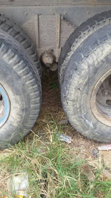 หัวยาวดั้ม หัวยาวดั้ม