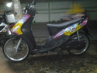 มีโอปี49ลายโดเลม่อน