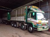 ขายหลง euro 2   เครื่อง 260 รถบ้าน