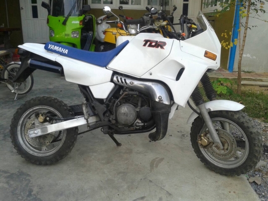 Yamaha tdr50cc.