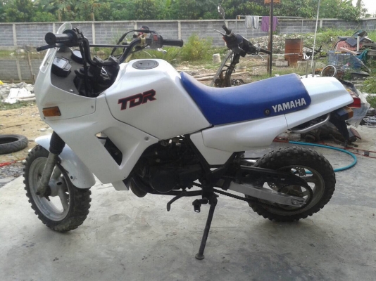 Yamaha tdr50cc.