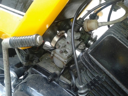 Yamaha rd12cc. แมวป่านอก