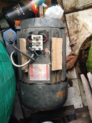 ขาย2000   โทร 0800428391