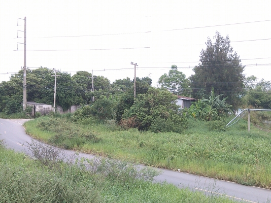 ที่ดินถมแล้ว 1 ไร่