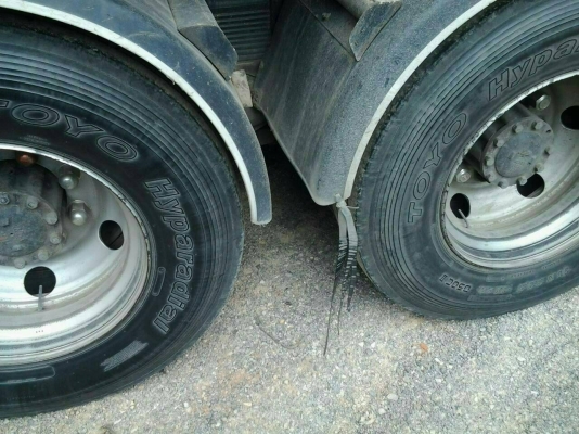 ขาย 10 ล้อหัวลาก พร้อมห่าง