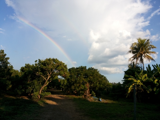 ขายที่ดิน ทำเลสวย เชียงใหม่ 3-2-06ไร่ อ.สารภี ใกล้ถนนซุปเปอร์ไฮเวย์เชียงใหม่