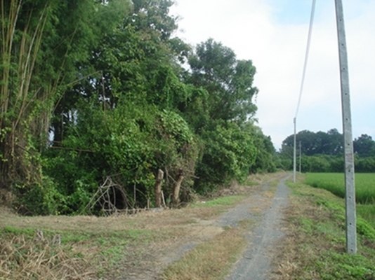 ขายที่ดิน ทำเลสวย เชียงใหม่ 3-2-06ไร่ อ.สารภี ใกล้ถนนซุปเปอร์ไฮเวย์เชียงใหม่