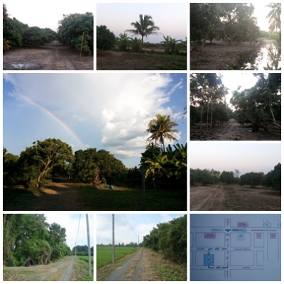 ขายที่ดิน ทำเลสวย เชียงใหม่ 3-2-06ไร่ อ.สารภี ใกล้ถนนซุปเปอร์ไฮเวย์เชียงใหม่