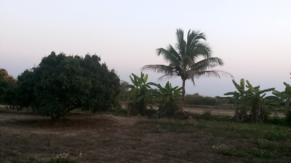 ขายที่ดิน ทำเลสวย เชียงใหม่ 3-2-06ไร่ อ.สารภี ใกล้ถนนซุปเปอร์ไฮเวย์เชียงใหม่