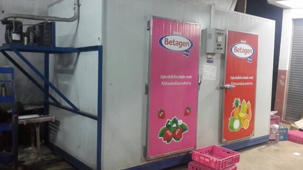 ตู้ห้องเย็น ตั้งพื้น ติดรถ