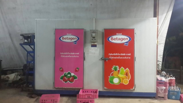 ตู้ห้องเย็น ตั้งพื้น ติดรถ