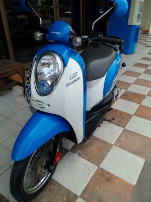 Honda Scoopy i สีขาว น้ำเงิน ลาย Active Boy รถอย่างสวย พร้อมใช้ Honda Scoopy i สีขาว น้ำเงิน ลาย Active Boy รถอย่างสวย พร้อมใช้