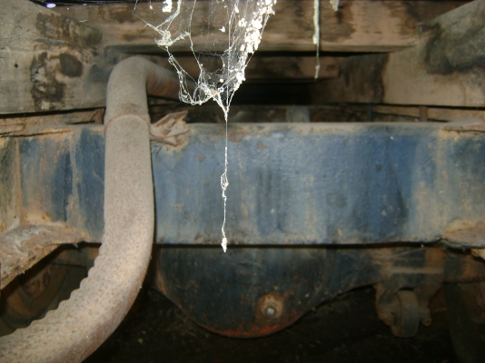 2 เพลา  6BD  165 แรง ไม่มีทะเบียน ราคา 270.000  บาท ( 2 )