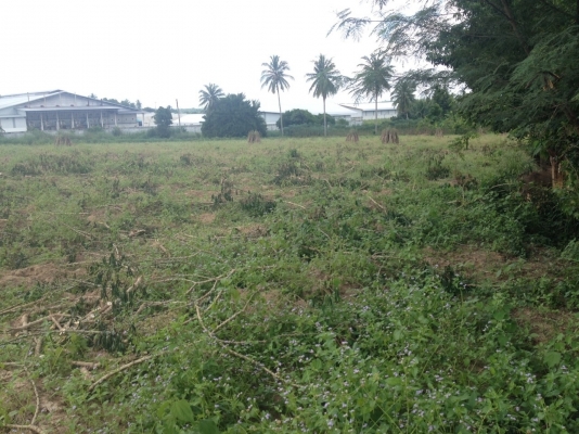 ขายที่ดิน โฉนด4ไร่ ติดถนน