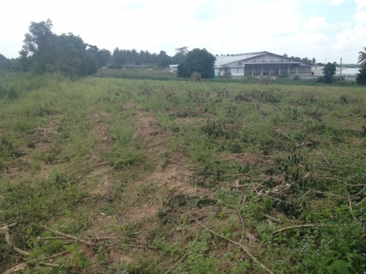 ขายที่ดิน โฉนด4ไร่ ติดถนน