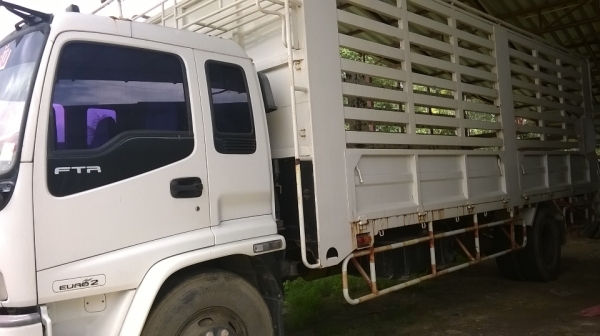 รถหกล้อ ISUZU FORWARD รุ่น FTR สภาพดีเยี่ยม